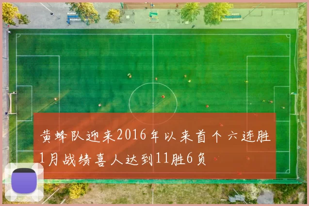 黄蜂队迎来2016年以来首个六连胜1月战绩喜人达到11胜6负