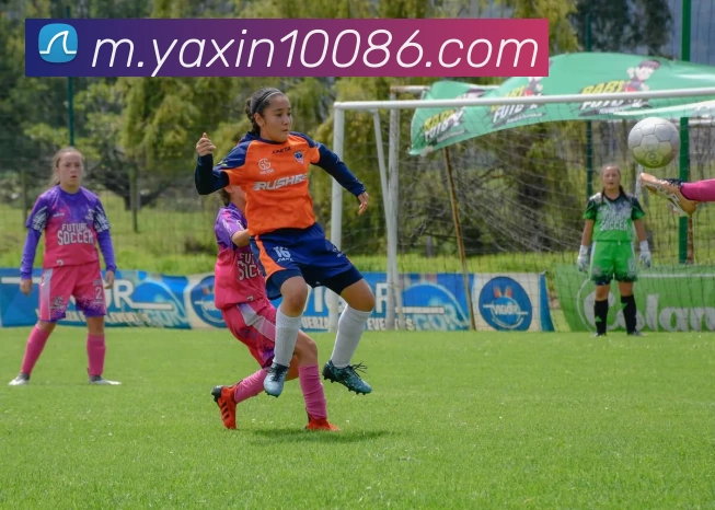 亚新体育平台生态图